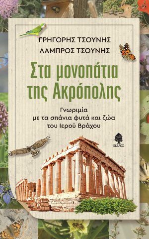 μονοπατια