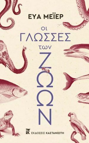 Zvvn