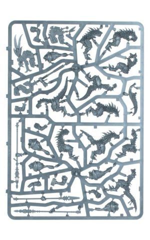 Seraphonarmysetsprue9